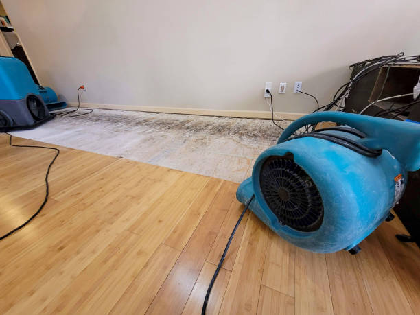 Professional Basement Flood Cleanup technician working in Millburn, NJ